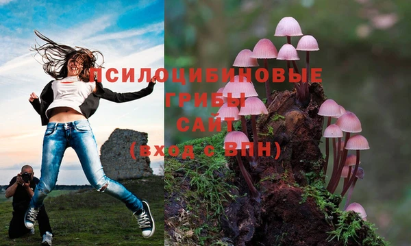 прущий лед Аркадак