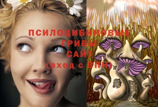 МДПВ Арсеньев