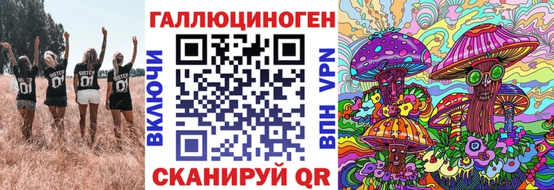 Купить Струнино Галлюциногенные грибы MAGIC MUSHROOMS