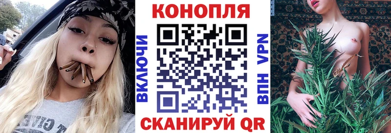 Купить закладки  Струнино  Канабис план 